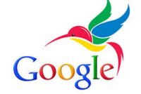 Google Hummingbird logo
