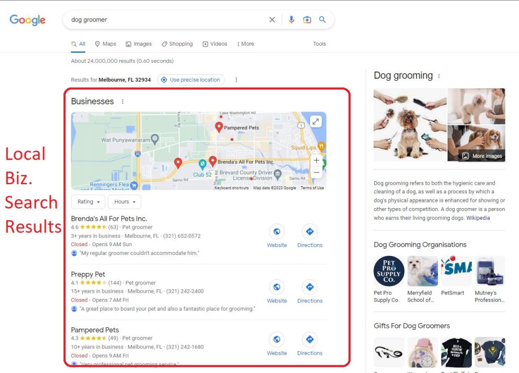 local business search results Google