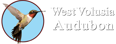 West Volusia Audubon 